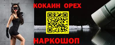 гашик Нарткала