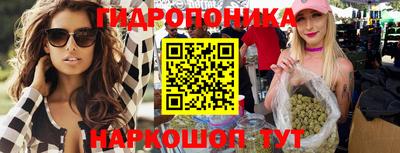 гашик Нарткала
